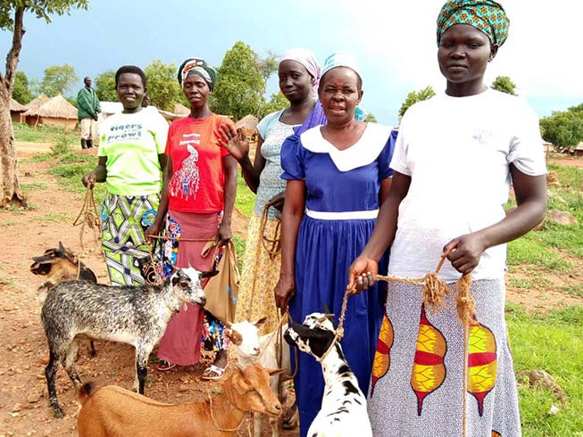 Grateful South Sudanese Christian refugees in Uganda, each with their own goat, provided by Barnabas Fund
